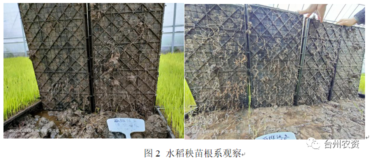 臺(tái)州農(nóng)資 臺(tái)州農(nóng)資